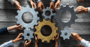 Why Dedicated Client Service Defines a Trusted Organization