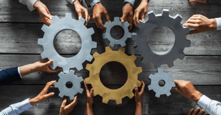 Why Dedicated Client Service Defines a Trusted Organization