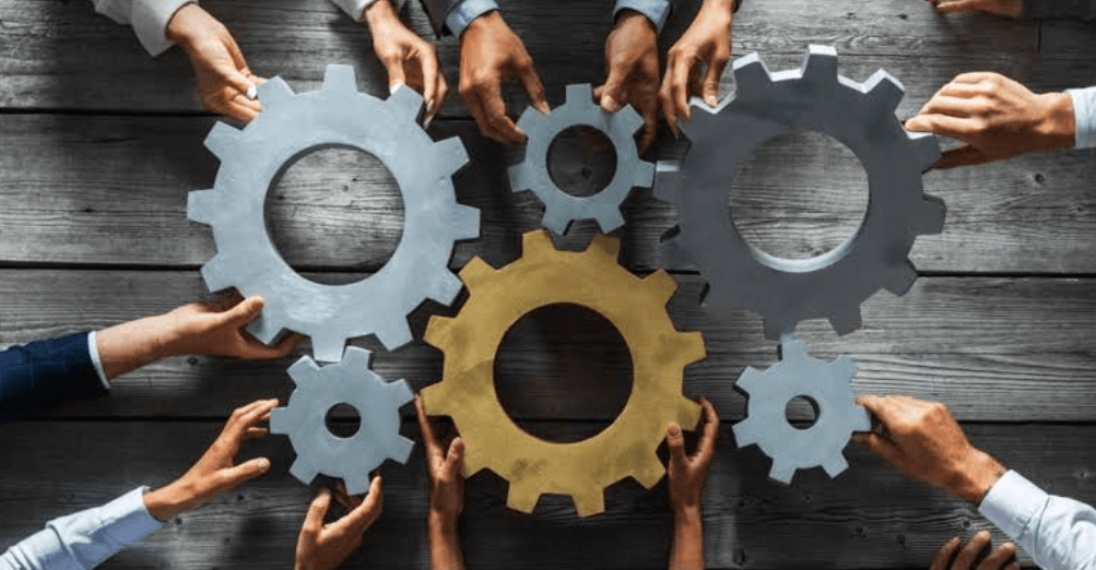 Why Dedicated Client Service Defines a Trusted Organization