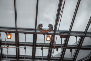How to Choose Electric Roof Windows Online With Confidence